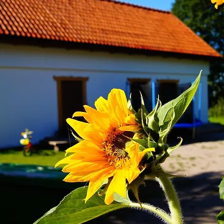 Rybaczowka Luknajno בית נופש Mikołajki