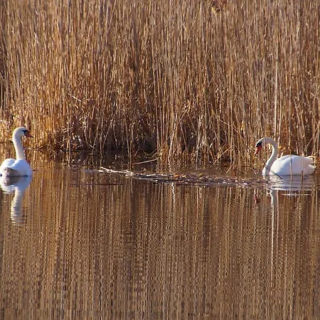 בית נופש Rybaczowka Luknajno Mikołajki