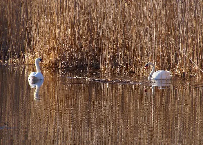 Prázdninový dům Rybaczowka Luknajno Mikołajki