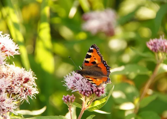 Prázdninový dům Rybaczowka Luknajno Mikołajki