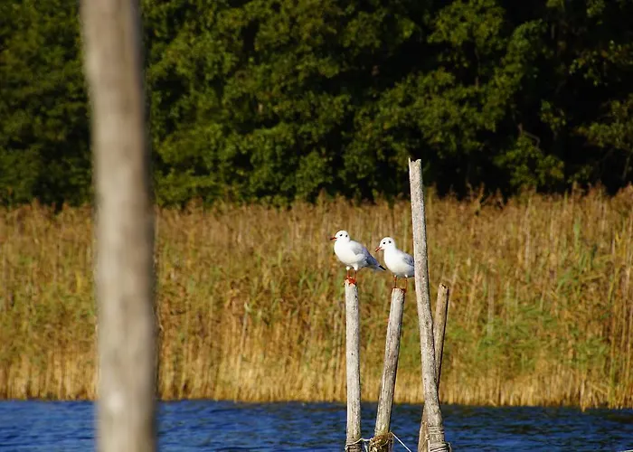 Prázdninový dům Rybaczowka Luknajno