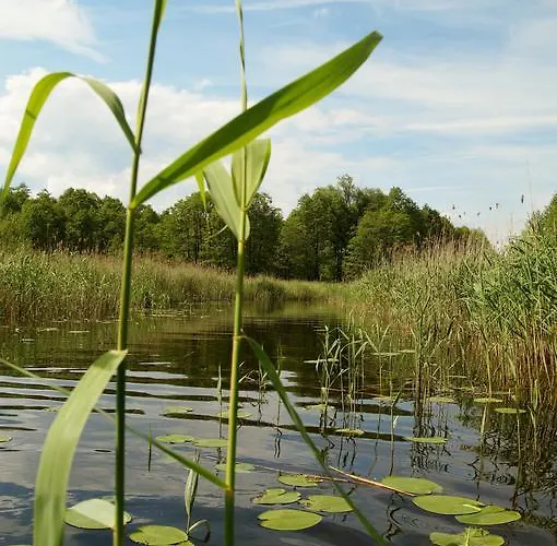 Rybaczowka Luknajno Prázdninový dům *